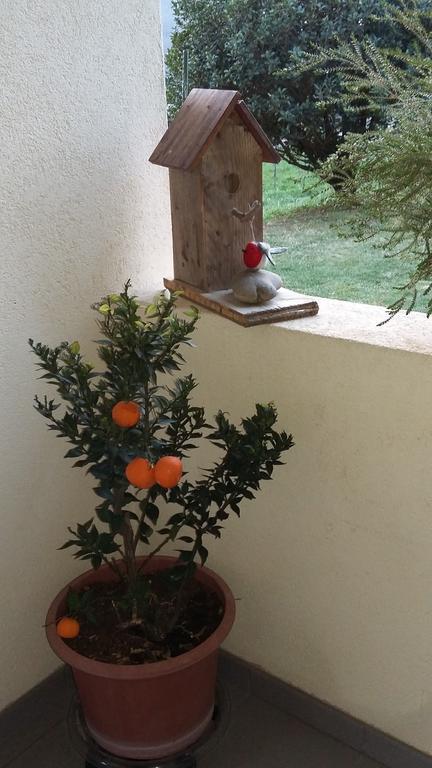 B&B Il Vigneto Мелано Экстерьер фото